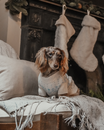 Ice Blue | Après Ski Roll Neck Knit: XS