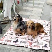 The Dachshund Travel Mat