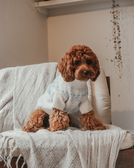 Ice Blue | Après Ski Roll Neck Knit: M