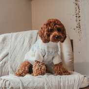 Ice Blue | Après Ski Roll Neck Knit: S/M