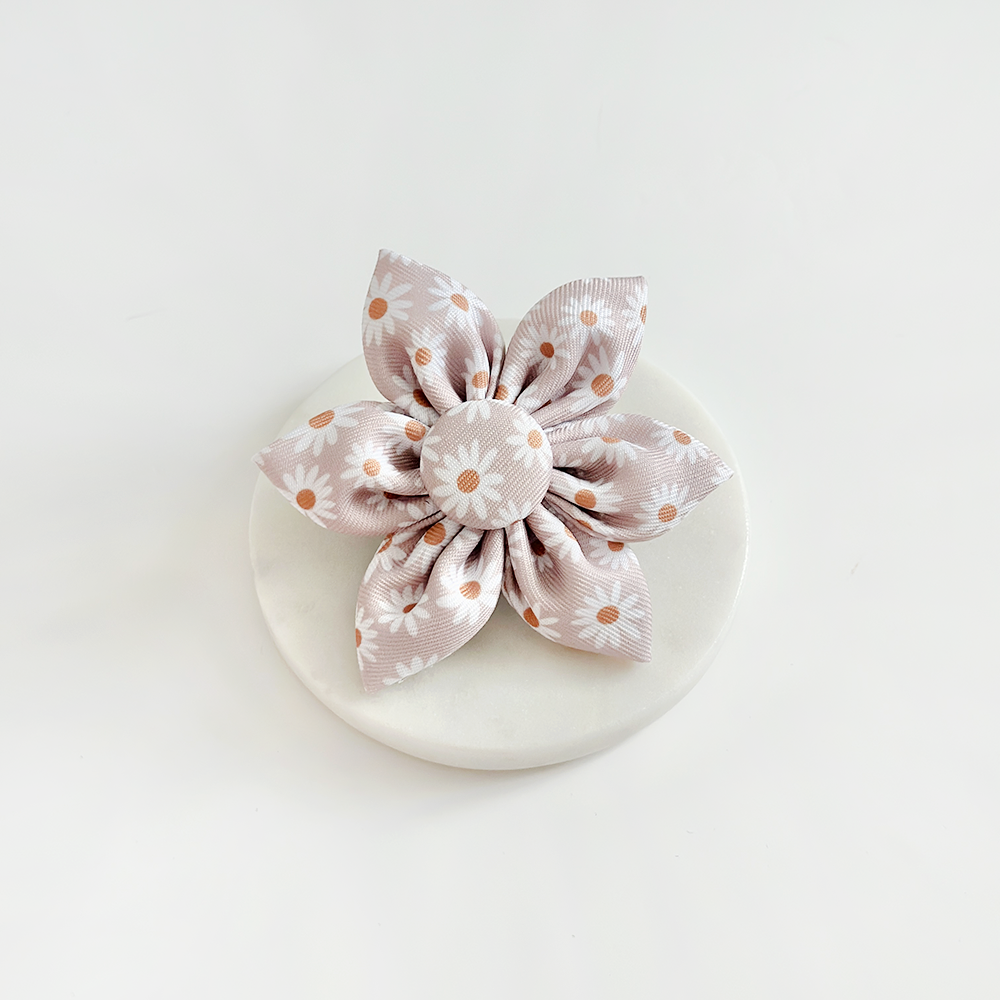 Daisy Chain Collar Flower