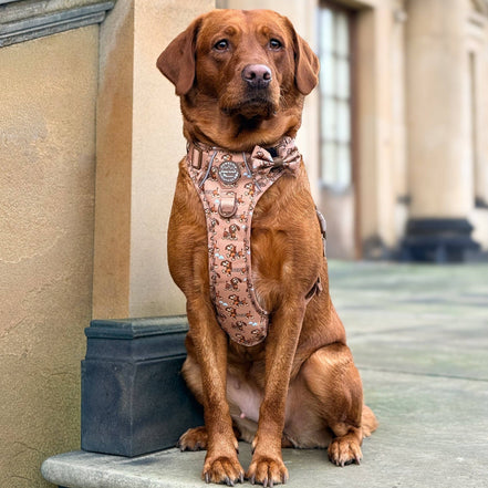 Disney© Bow Tie - Slinky: Regular
