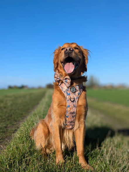 Disney© Bow Tie - Disney Dogs: Regular