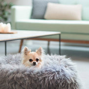 Grey Sheepskin Pet Bed: 40cm