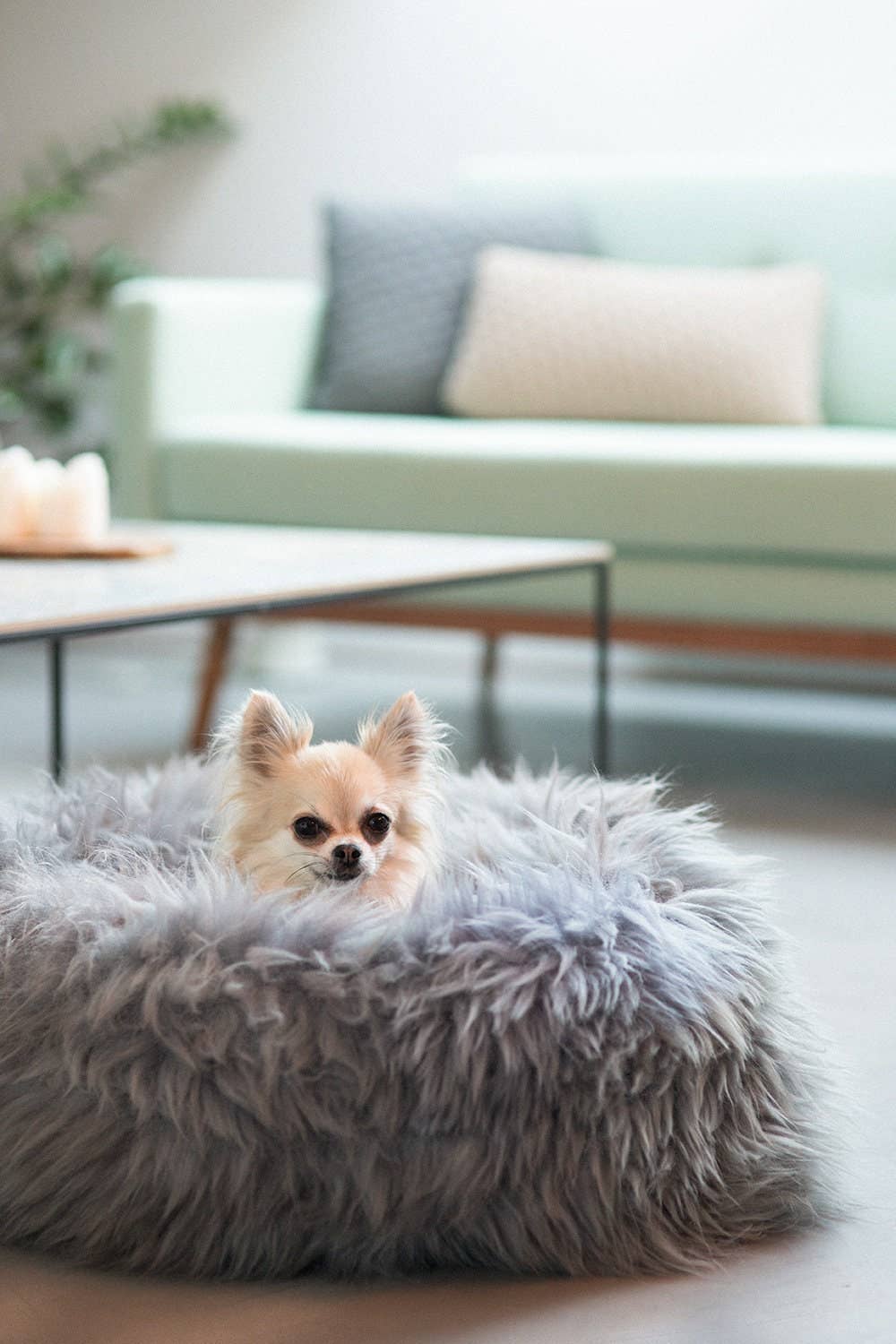 Grey Sheepskin Pet Bed: 40cm