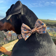 Disney© Bow Tie - Disney Dogs: Regular