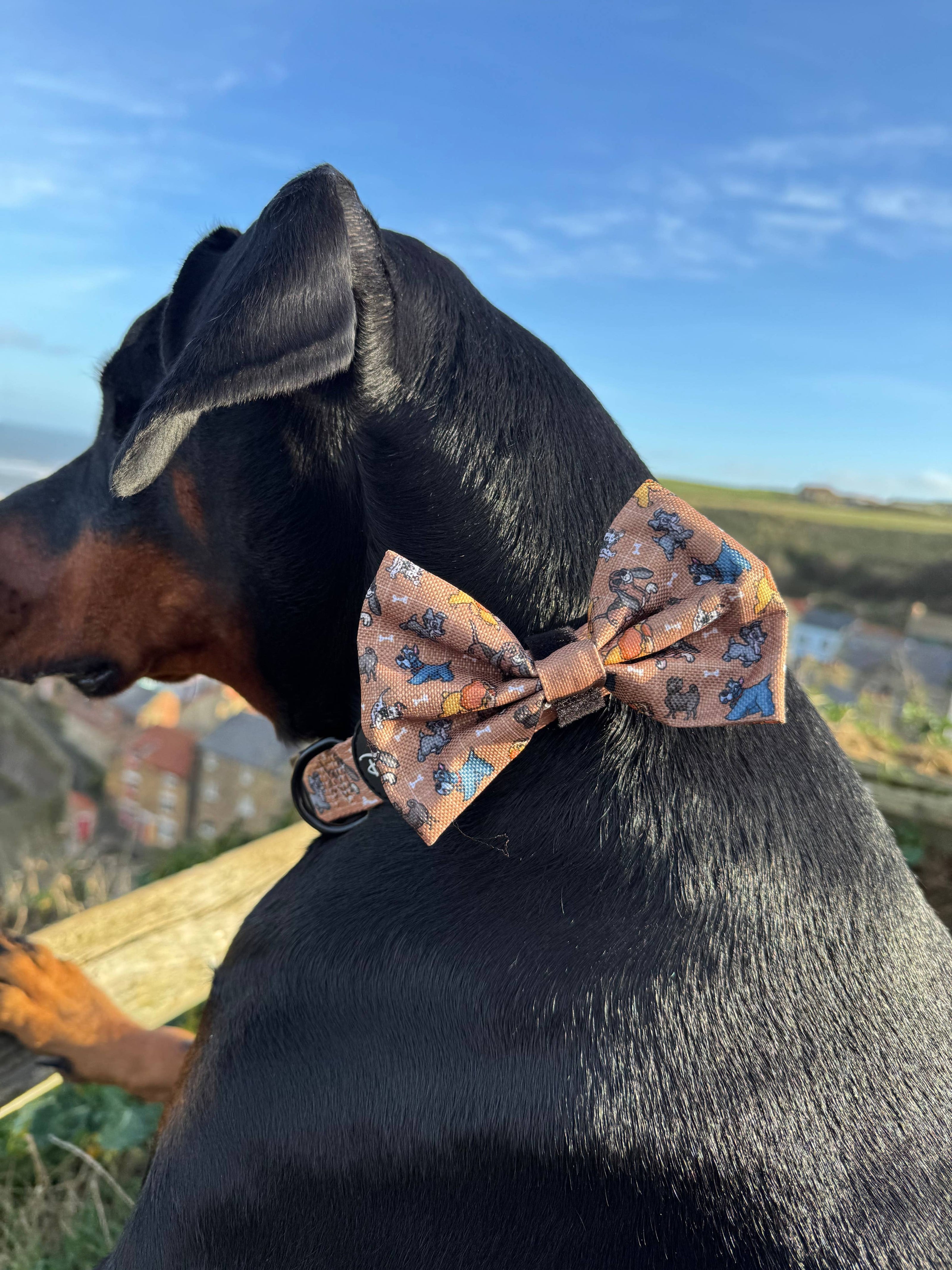 Disney© Bow Tie - Disney Dogs: Regular