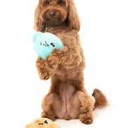 Croissant & Cappuccino 2PK - Dog Toy