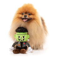 Igor Halloween  - Dog Toy