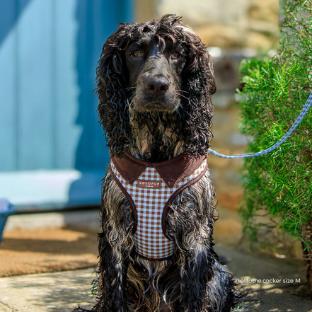 Chelsea Check Adjustable Neck HARNESS: L