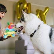 Party Animal - Fiesta Fetch Pinata