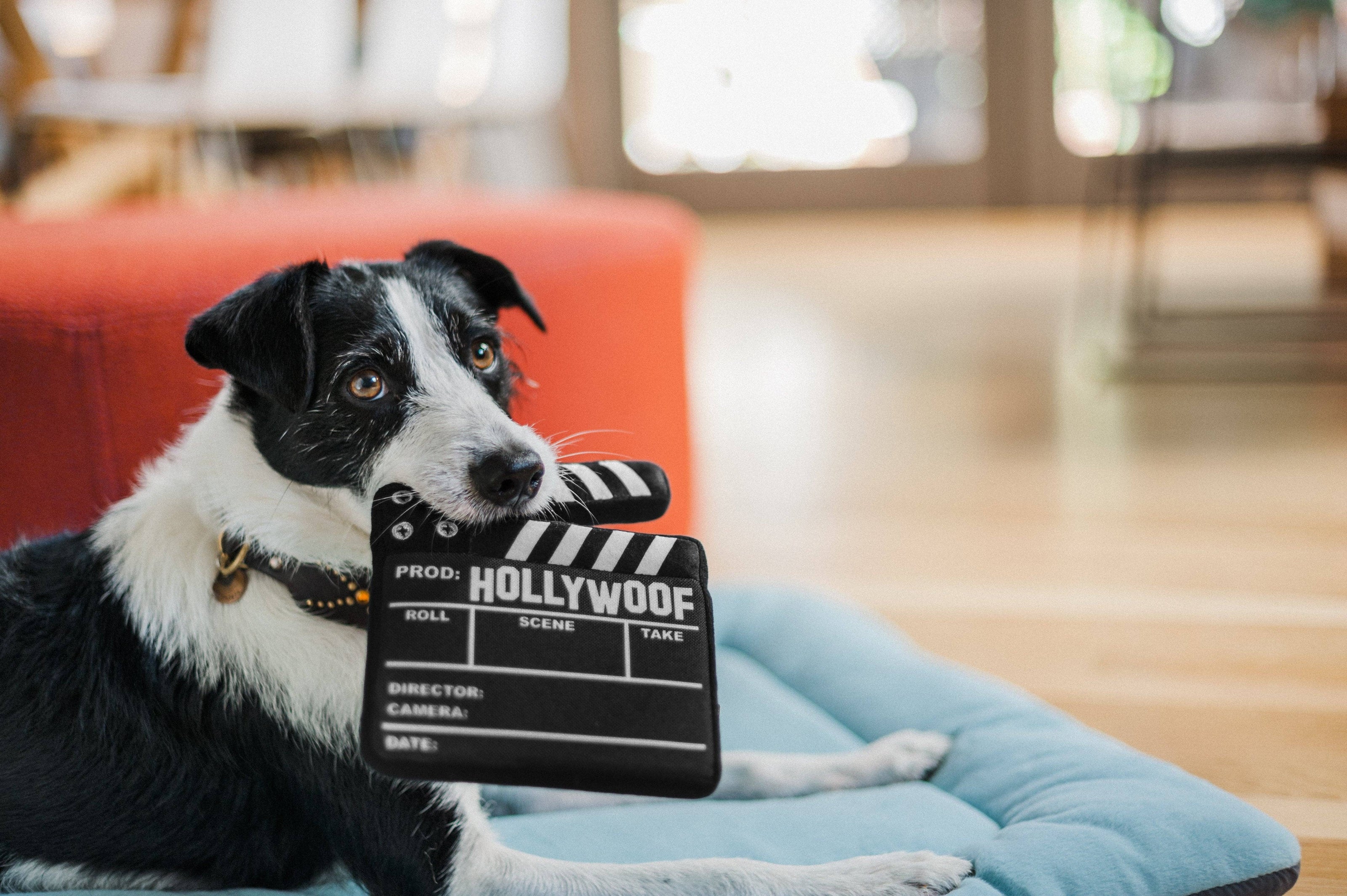 Hollywoof Doggy Director Board Dog Toy