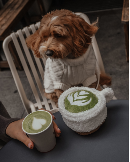 Matcha Latte Cup Toy