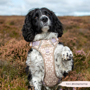 Cocopup London Explore Harness - Mocha Flower