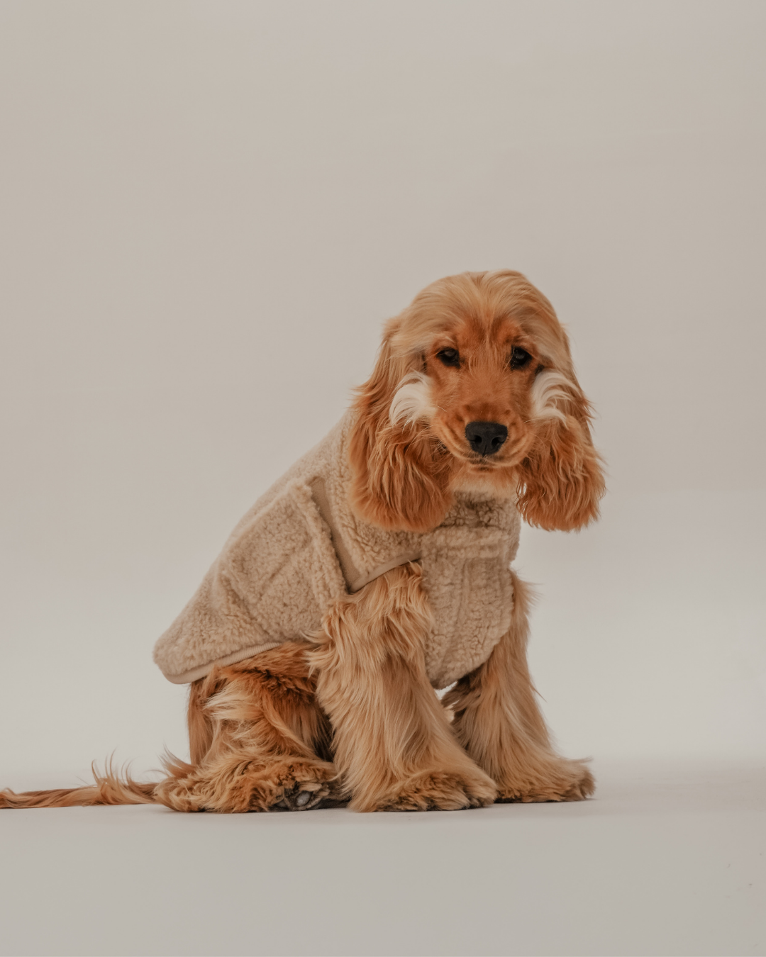 The Capsule Cosy Coat: S