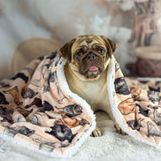 The Pug Dog Blanket