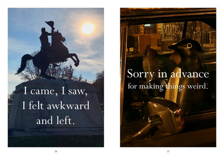 Sorry in advance for making things weird. - A Disappointing Affirmations Collection (Hardback)