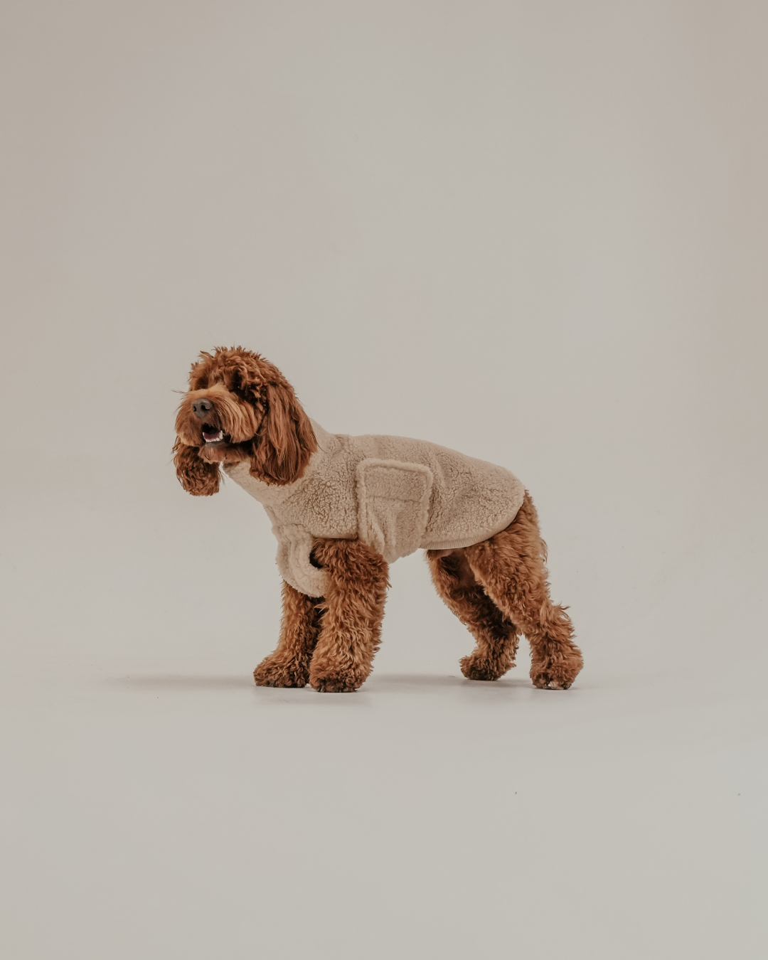 The Capsule Cosy Coat: S
