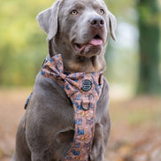 Disney© Bow Tie - Disney Dogs: Regular