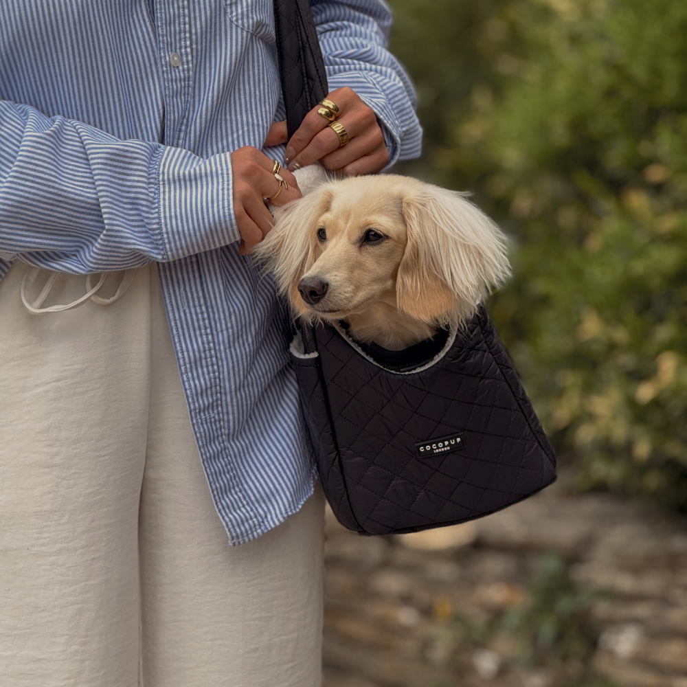 Dog Carrier - Quilted Black