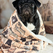 The Pug Dog Blanket