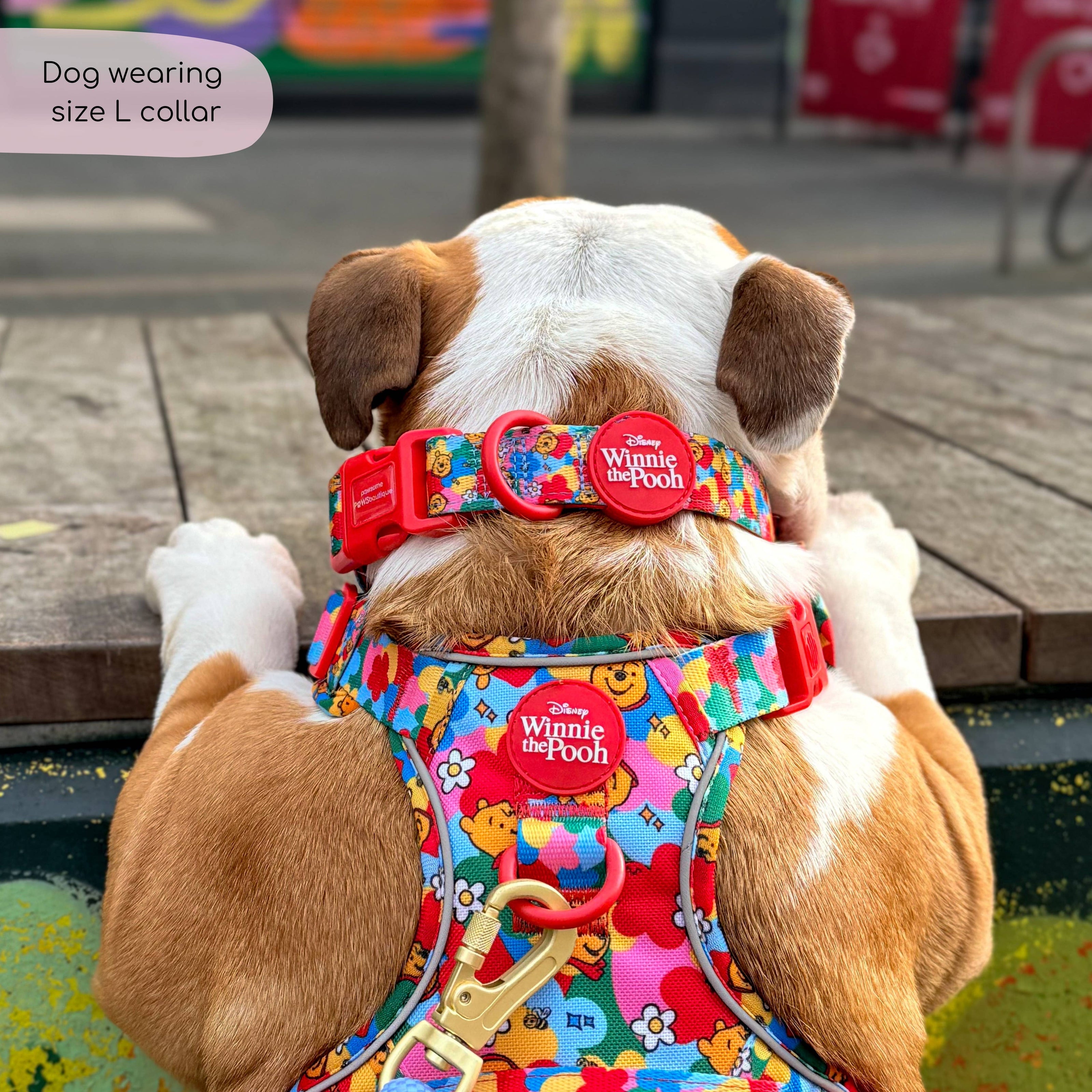 Disney© Collar - Winnie Goes Retro: S