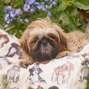 Shih Tzu Dog Blanket