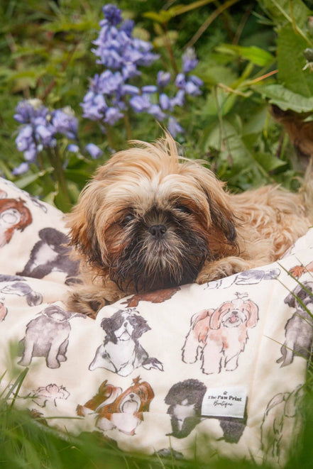 Shih Tzu Dog Blanket