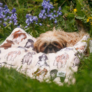 Shih Tzu Dog Blanket