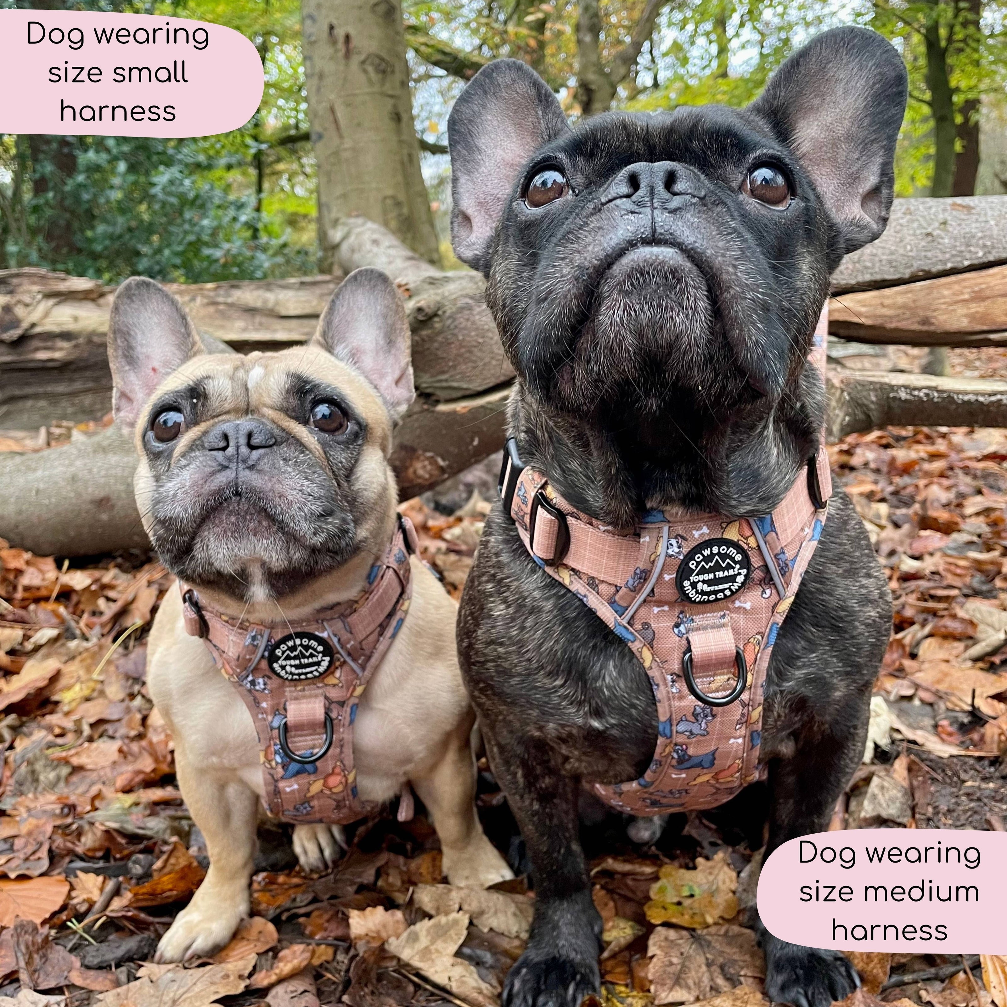 Disney© Tough Trails™ Harness - Disney Dogs: XS