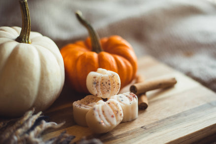 The Salem Bookstore Pumpkin Patch /Autumn Soy Wax Melts Fall