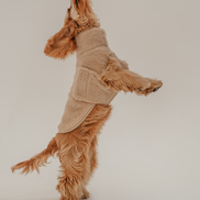 The Capsule Cosy Coat: S/M
