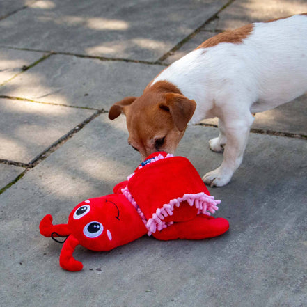 ÖRVA Snuffle Noodle Lobster -Dog Enrichment Toy
