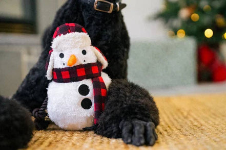 Home for Holiday - Snowman - Blizzard Buddy- Christmas - Dog Toys: Wholesale