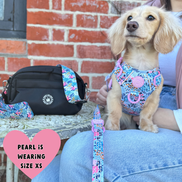 Floral Dog Harness - Colour Drops - Spring Dreams: M