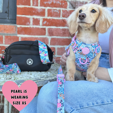 Floral Dog Harness - Colour Drops - Spring Dreams: M