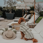 Matcha Stripe | The Cosy Cloak Drying Robe: L