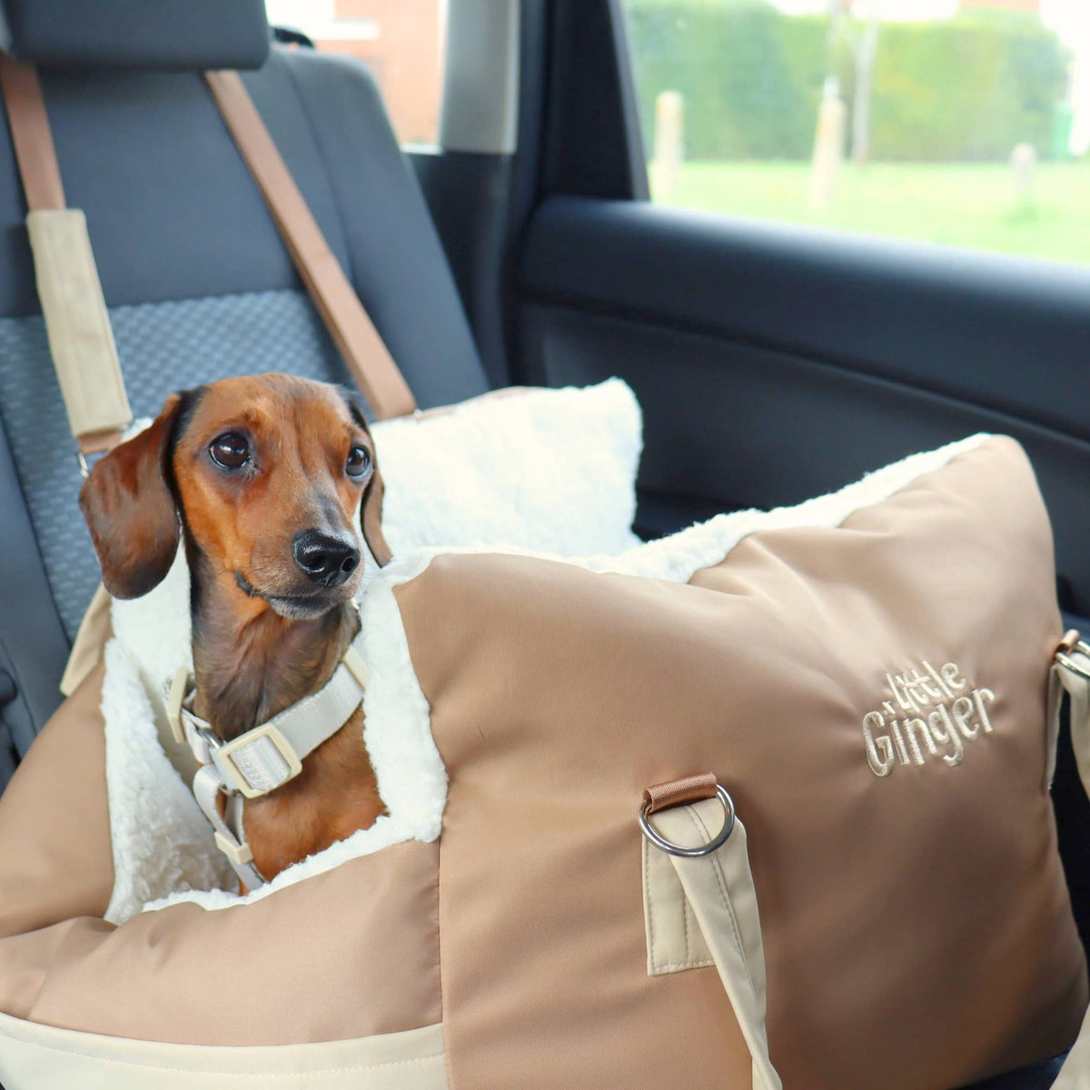 Car Seat Bed: Cafe Latte