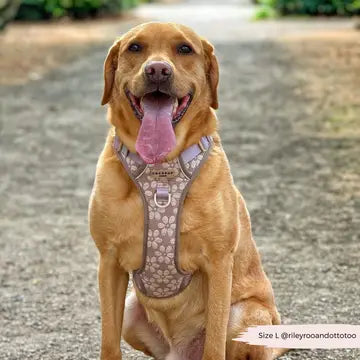 Cocopup London Explore Harness - Mocha Flower