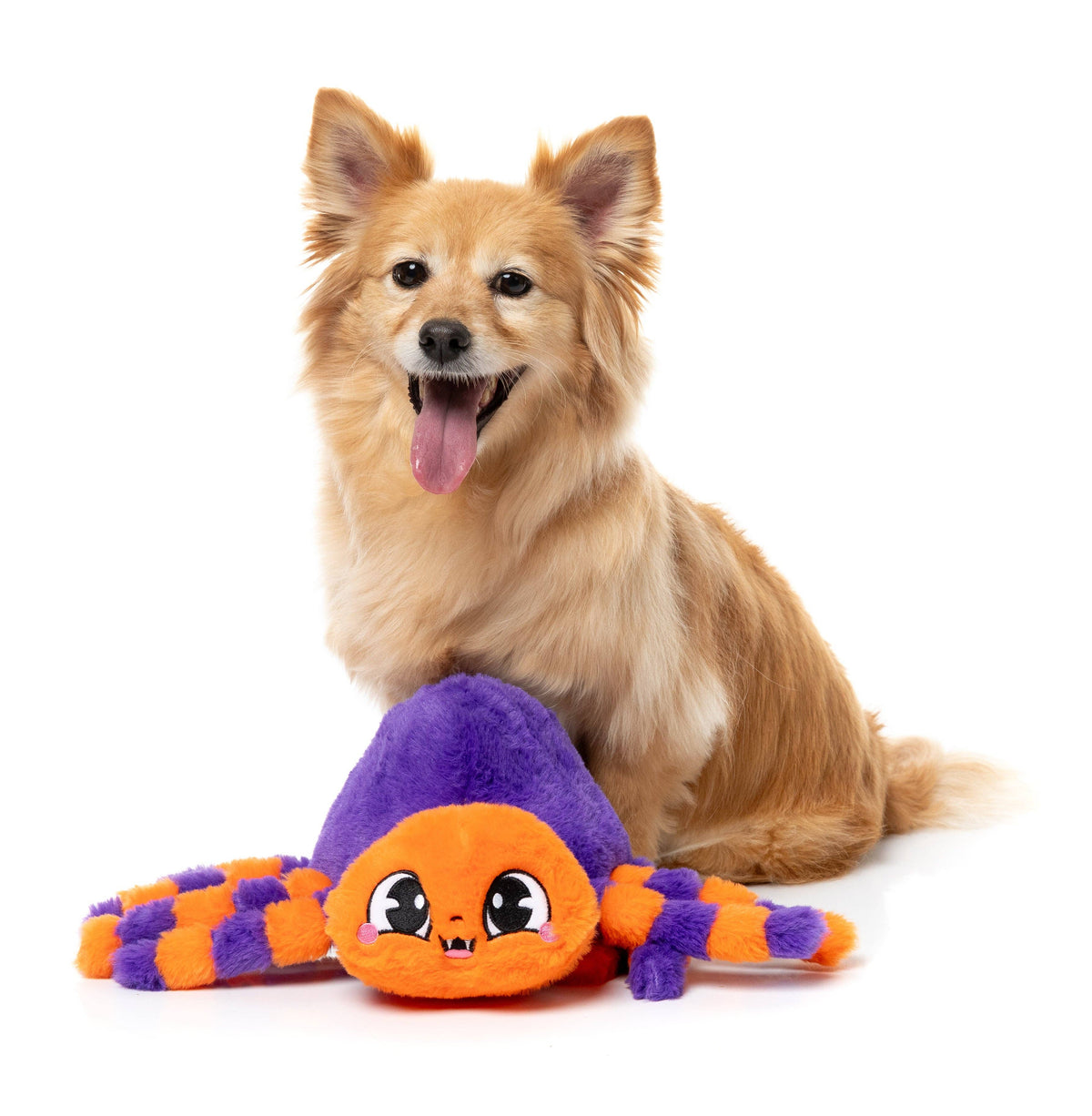 Tarantina  The Spider - Dog Toys