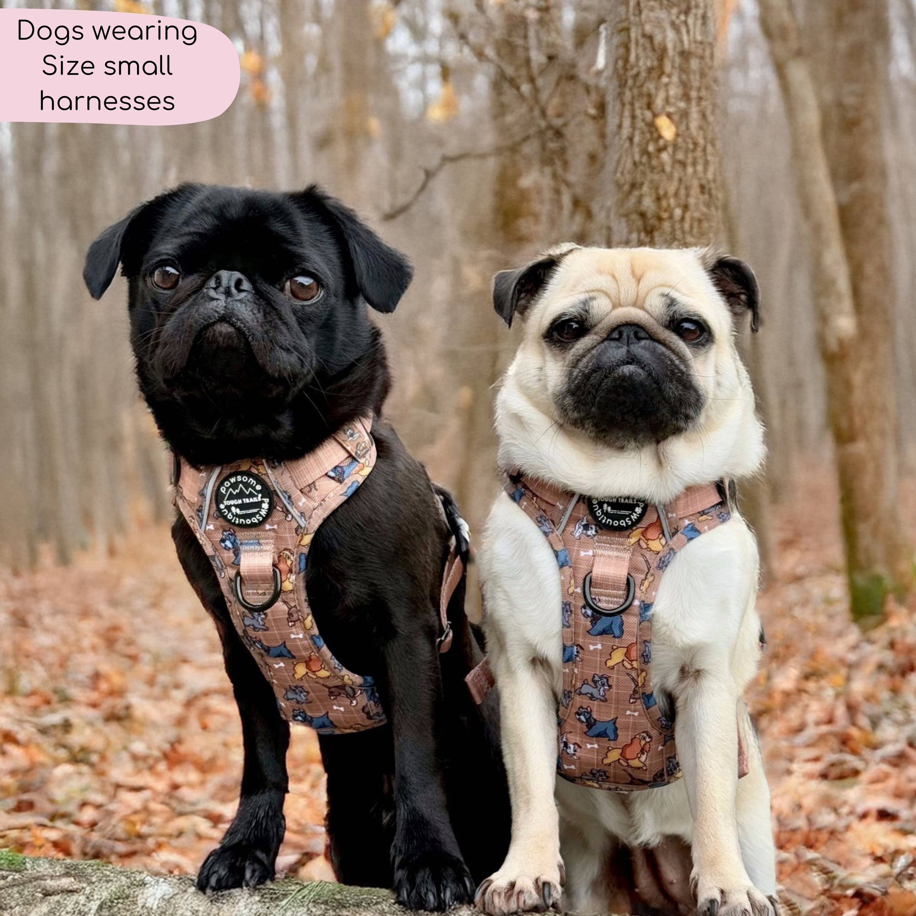 Disney© Tough Trails™ Harness - Disney Dogs: M