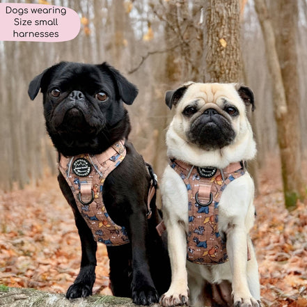 Disney© Tough Trails™ Harness - Disney Dogs: XS