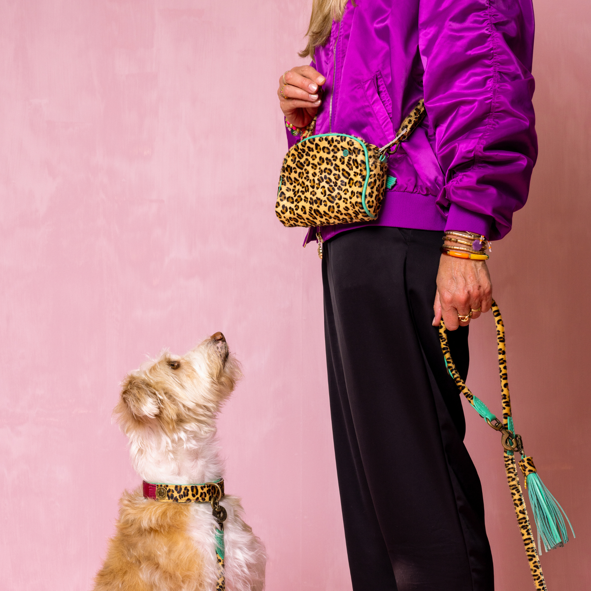 Walk the dog crossbody bag