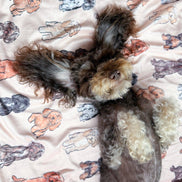 The Oodles & Doodles Dog Blanket