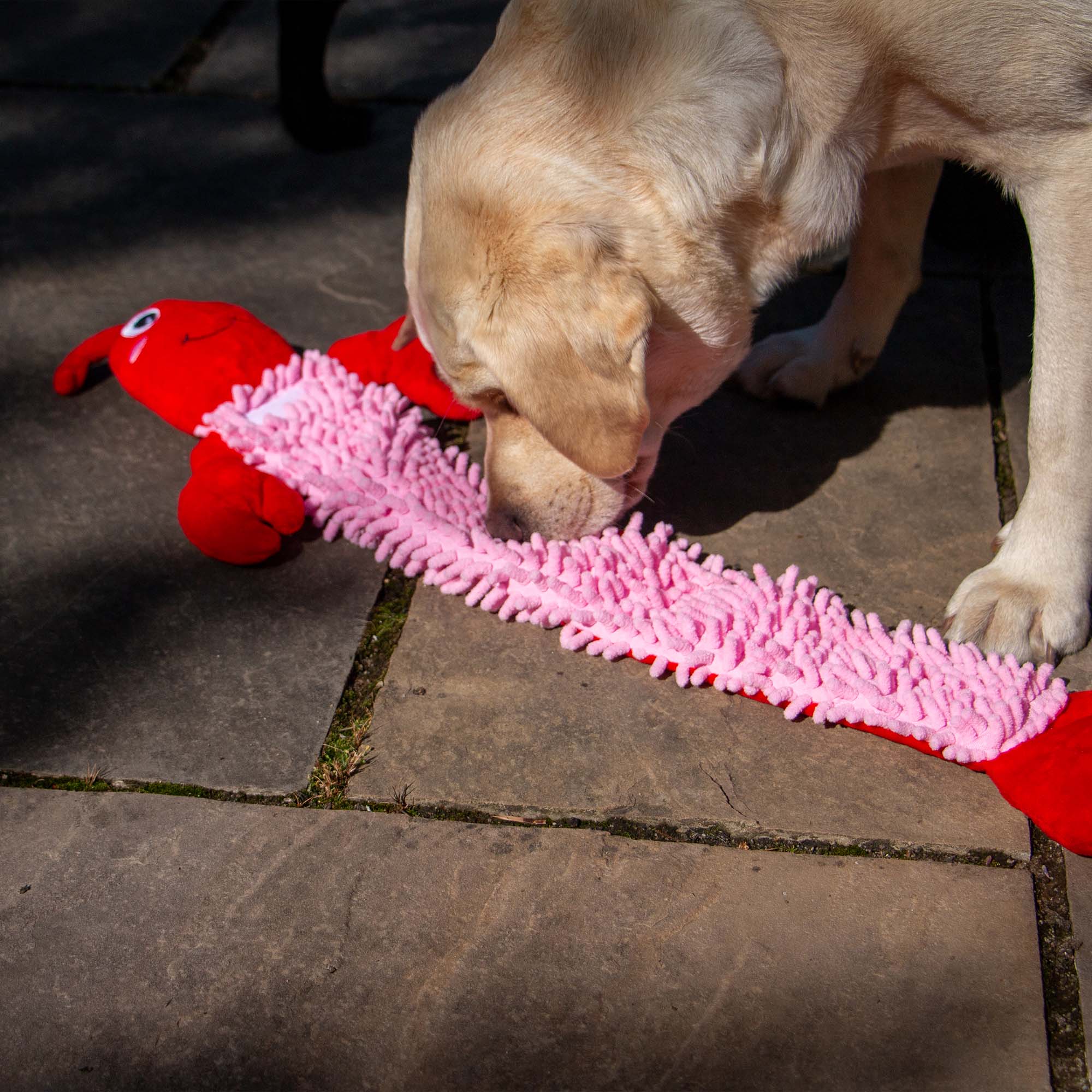 ÖRVA Snuffle Noodle Lobster -Dog Enrichment Toy