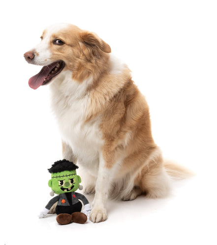 Igor Halloween  - Dog Toy