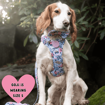Floral Dog Harness - Colour Drops - Spring Dreams: S