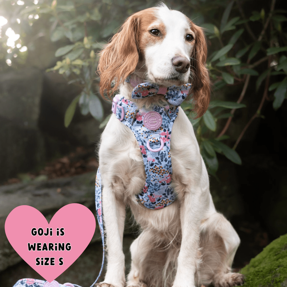 Floral Dog Harness - Colour Drops - Spring Dreams: L
