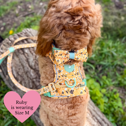 Trail & Glow Dog Harness Bundle Set - Colour Drops - Wanna-Bee: M / M