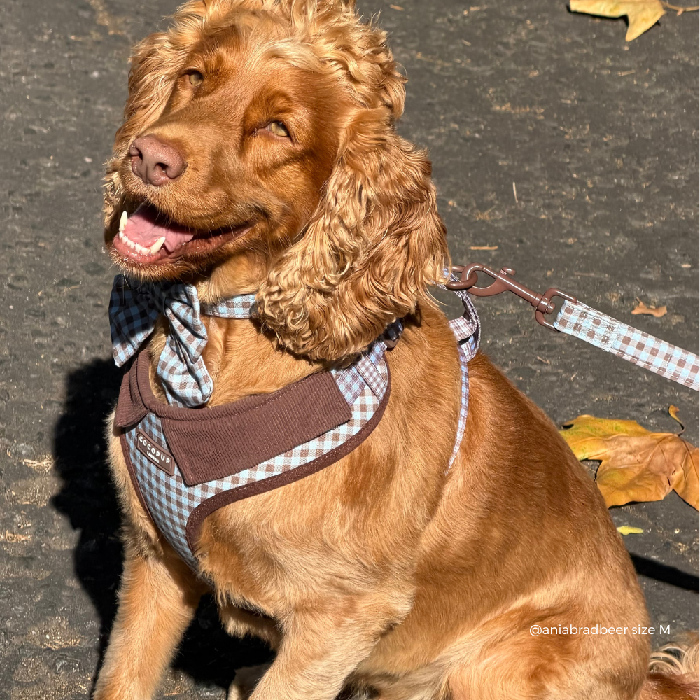 Chelsea Check Adjustable Neck HARNESS: M